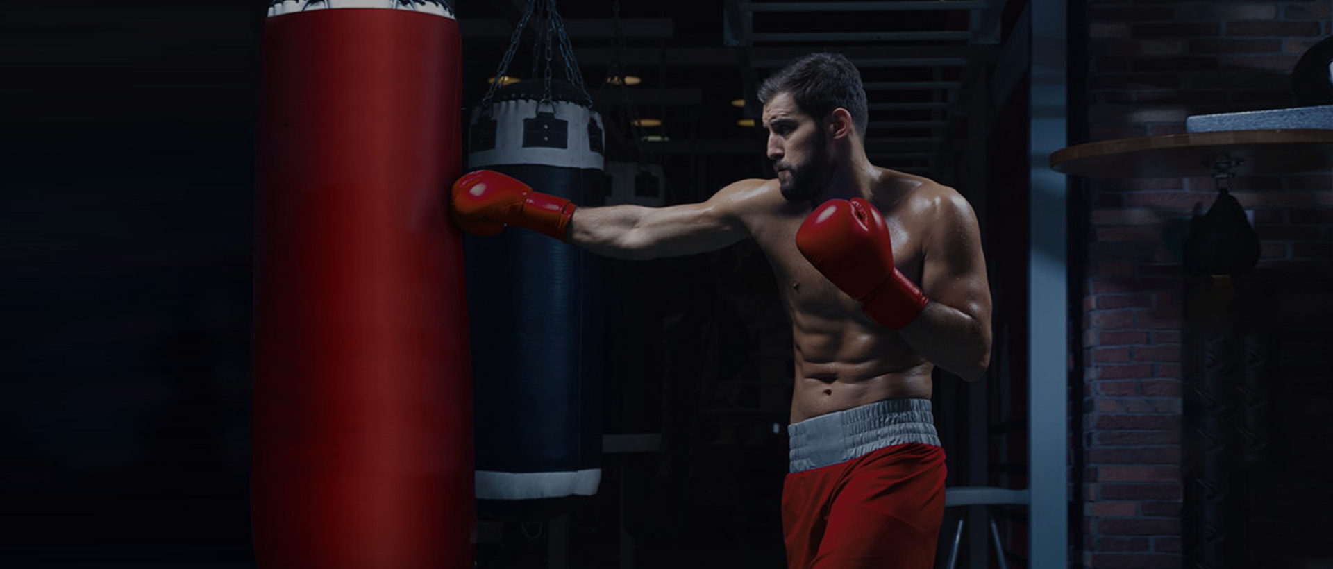 Professional Boxing Gloves & MMA Equipment Manufacturer - Wholesale Supplier.